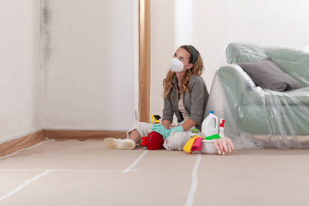 Reliable Mold Removal contractor in Puyallup, WA by Mold Remediation HQ